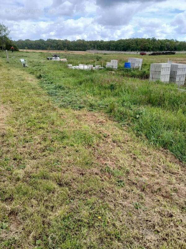 Photo 1 - Terrain à BAUDRIERES