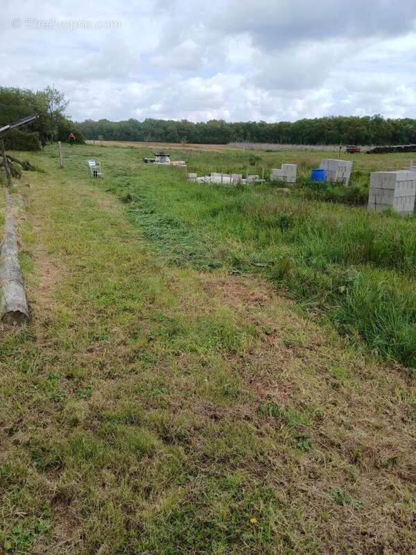 Photo 2 - Terrain à BAUDRIERES