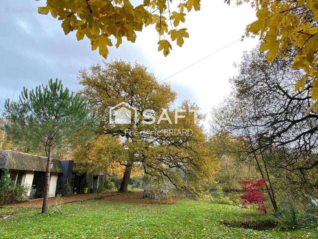 Photo 3 - Maison à SAINTE-FLAIVE-DES-LOUPS