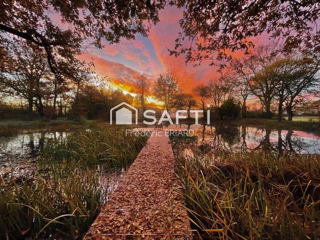 Photo 9 - Maison à SAINTE-FLAIVE-DES-LOUPS