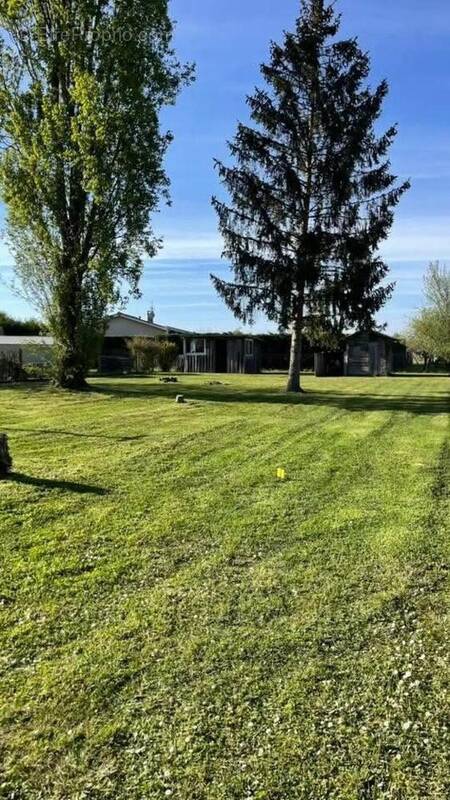 Photo 1 - Terrain à CISSAC-MEDOC