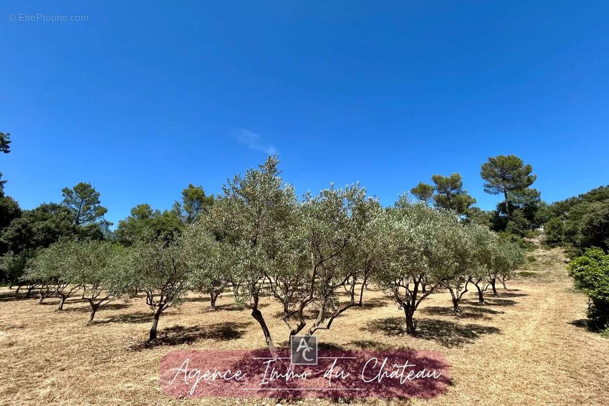 Terrain à LA ROQUEBRUSSANNE