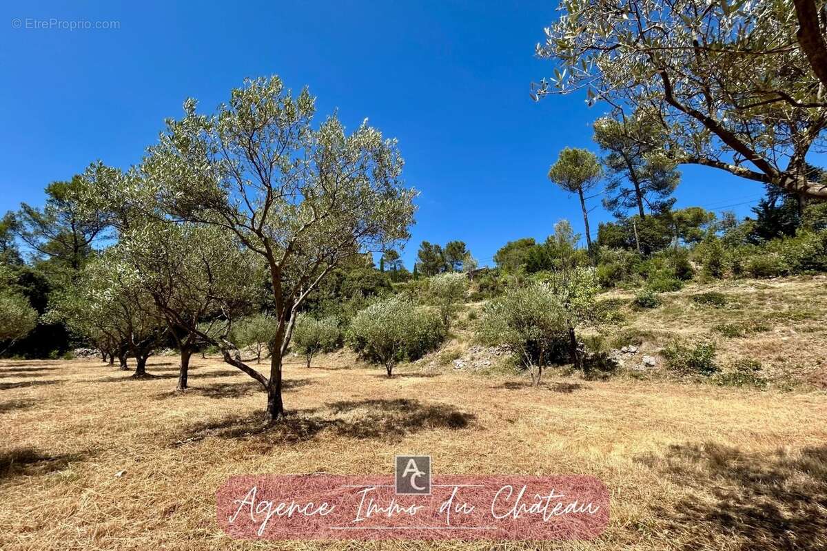 Terrain à LA ROQUEBRUSSANNE