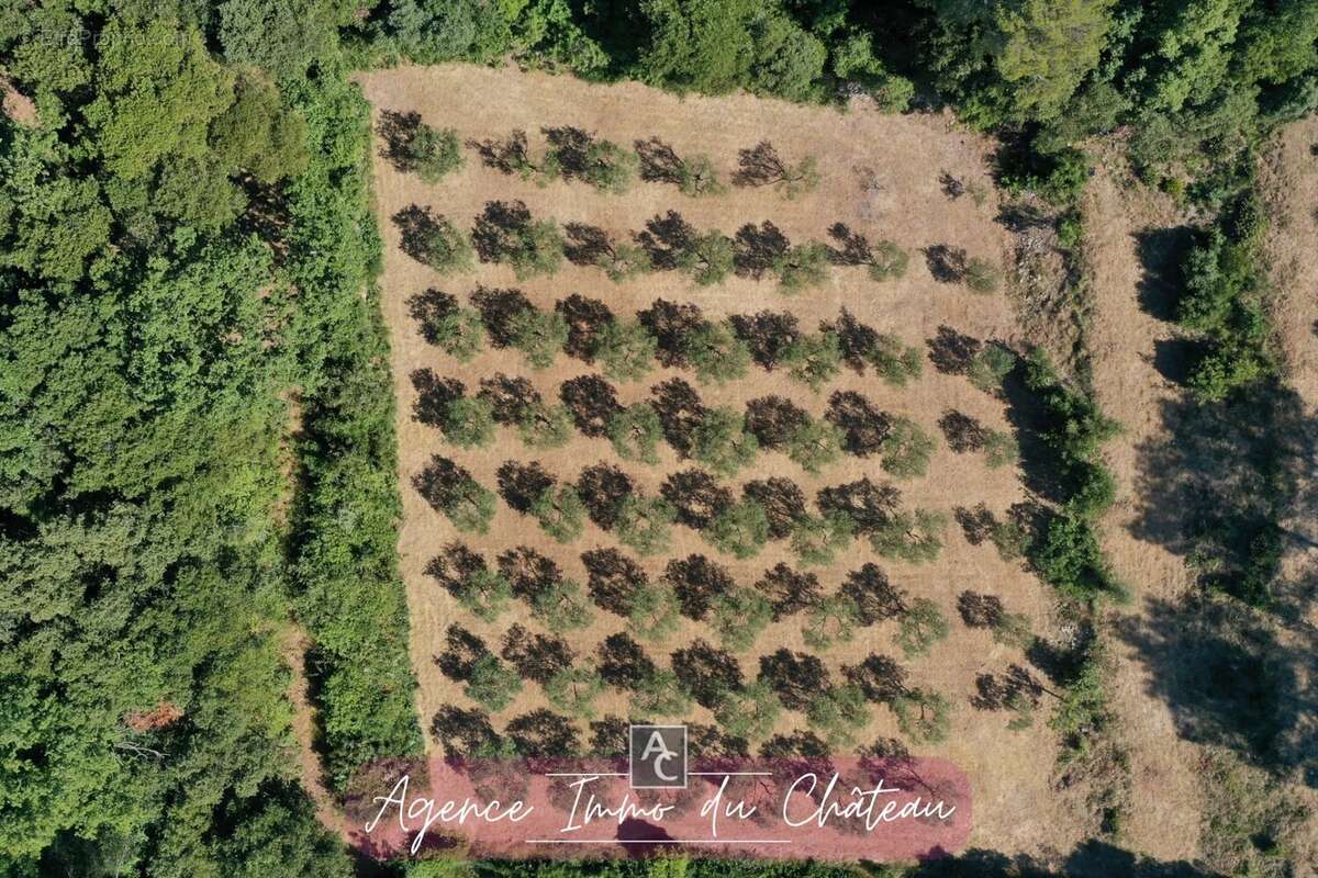 Terrain à LA ROQUEBRUSSANNE