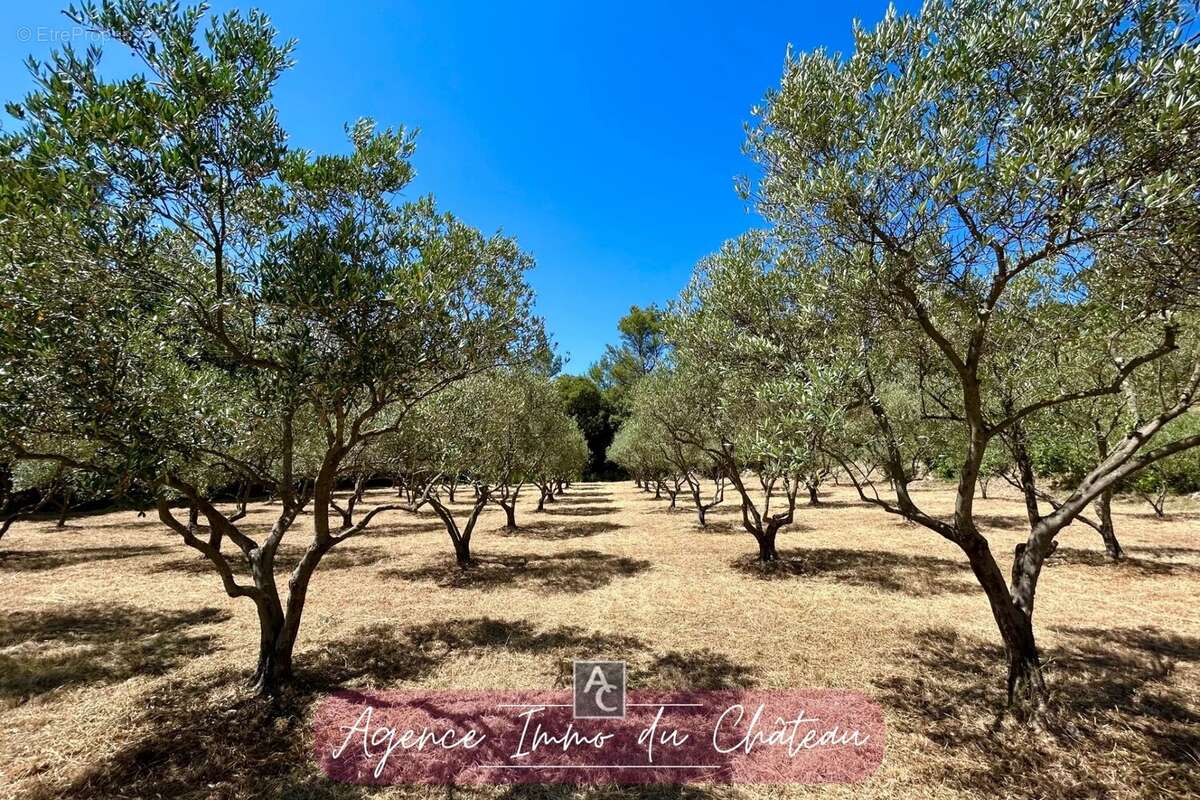 Terrain à LA ROQUEBRUSSANNE