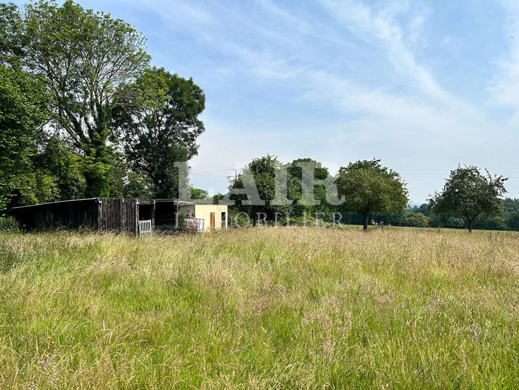 Maison à MONTMERREI