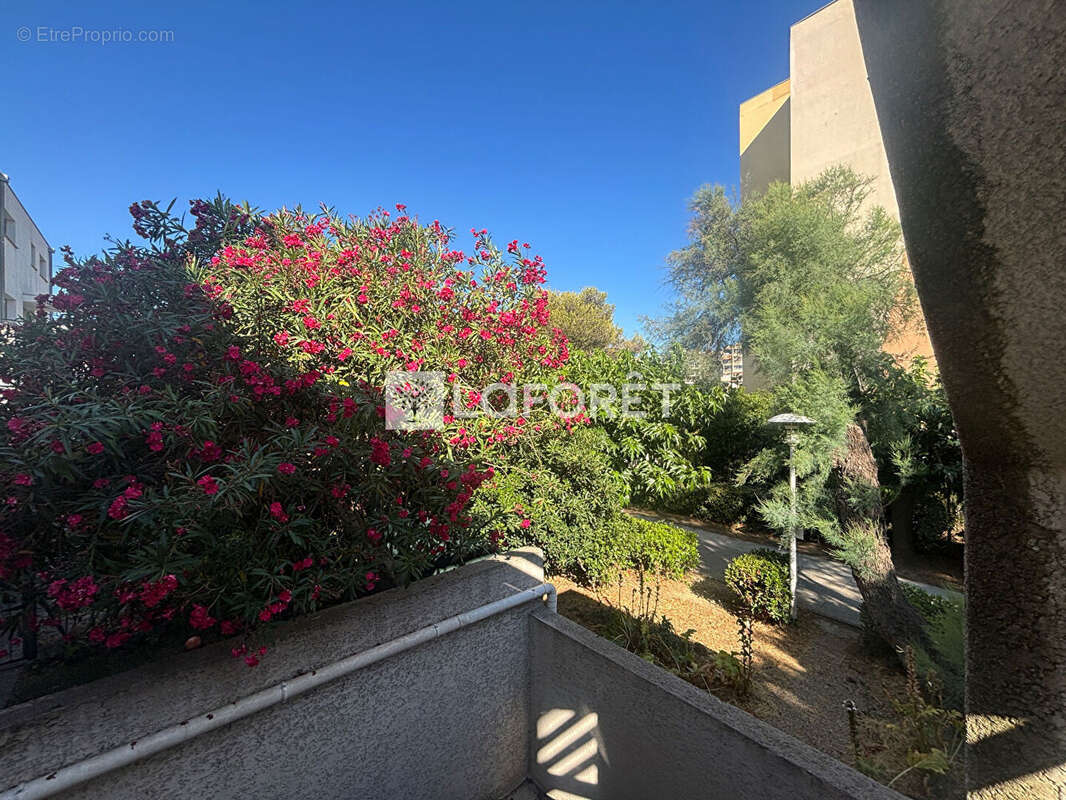 Appartement à LA GRANDE-MOTTE