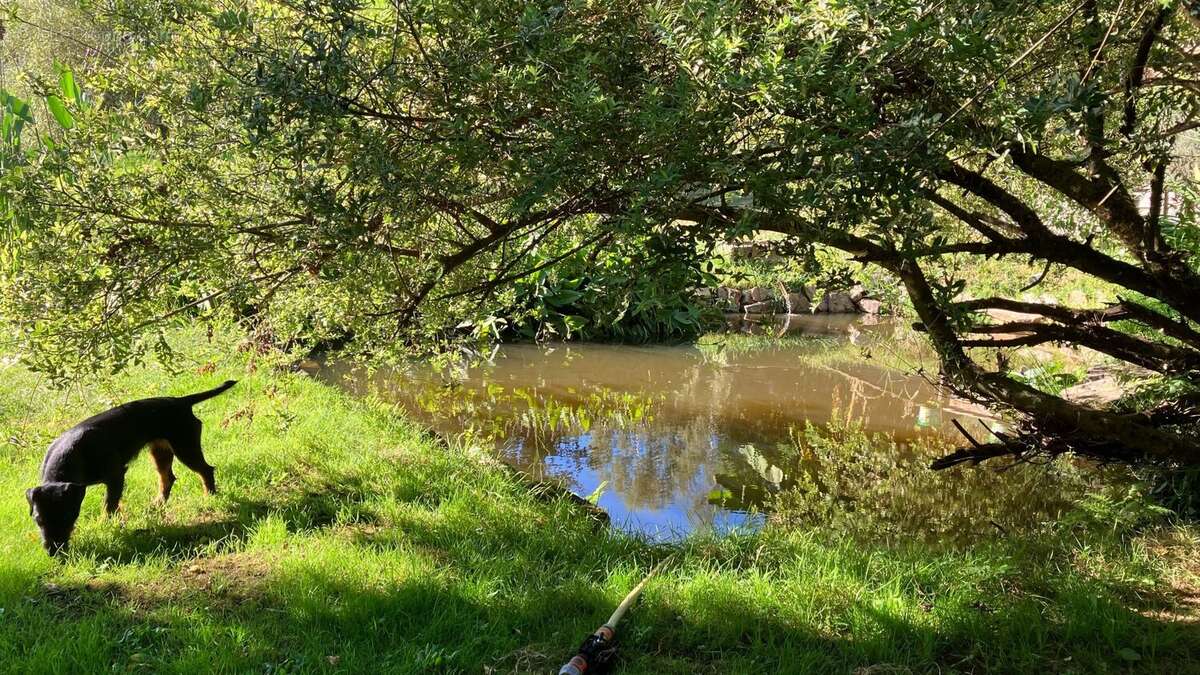 Maison à EYMOUTIERS