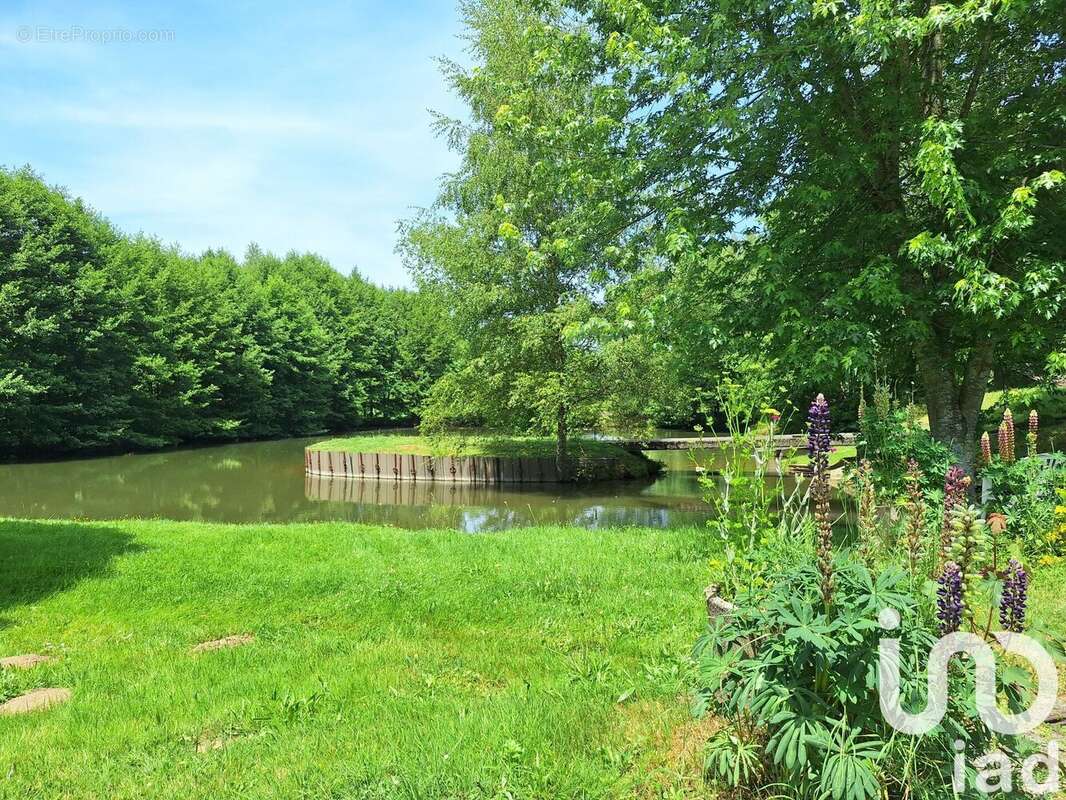 Photo 3 - Maison à OMPS