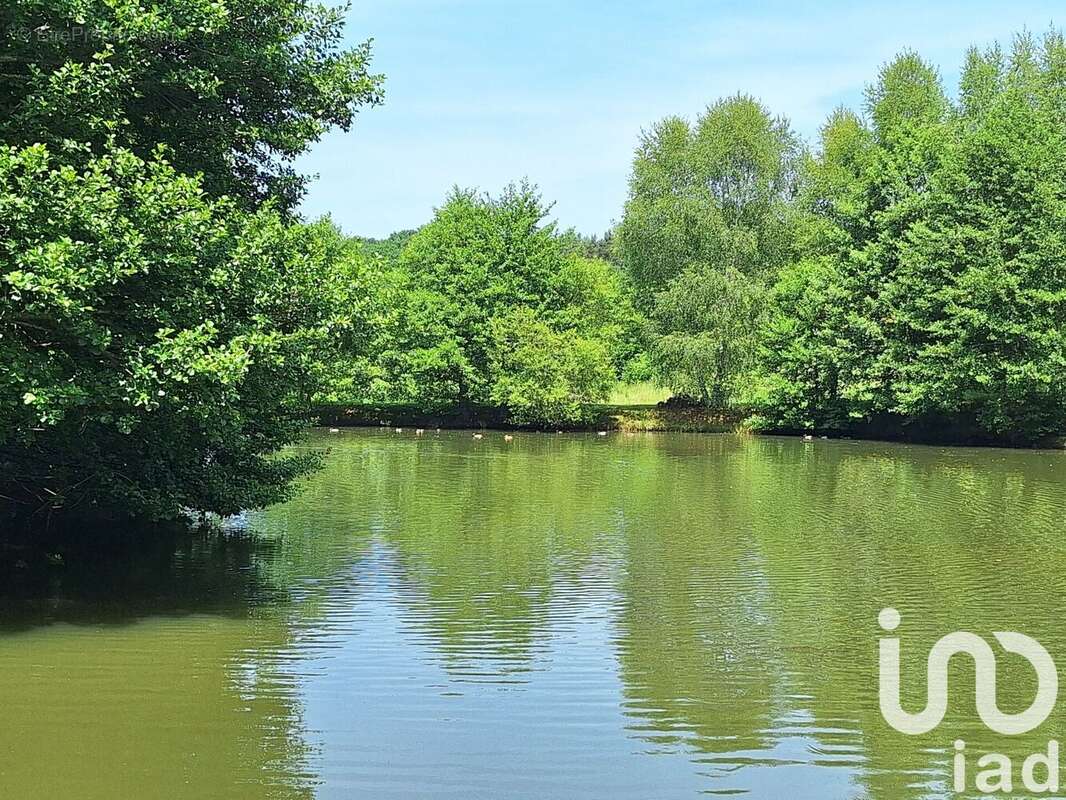 Photo 9 - Maison à OMPS