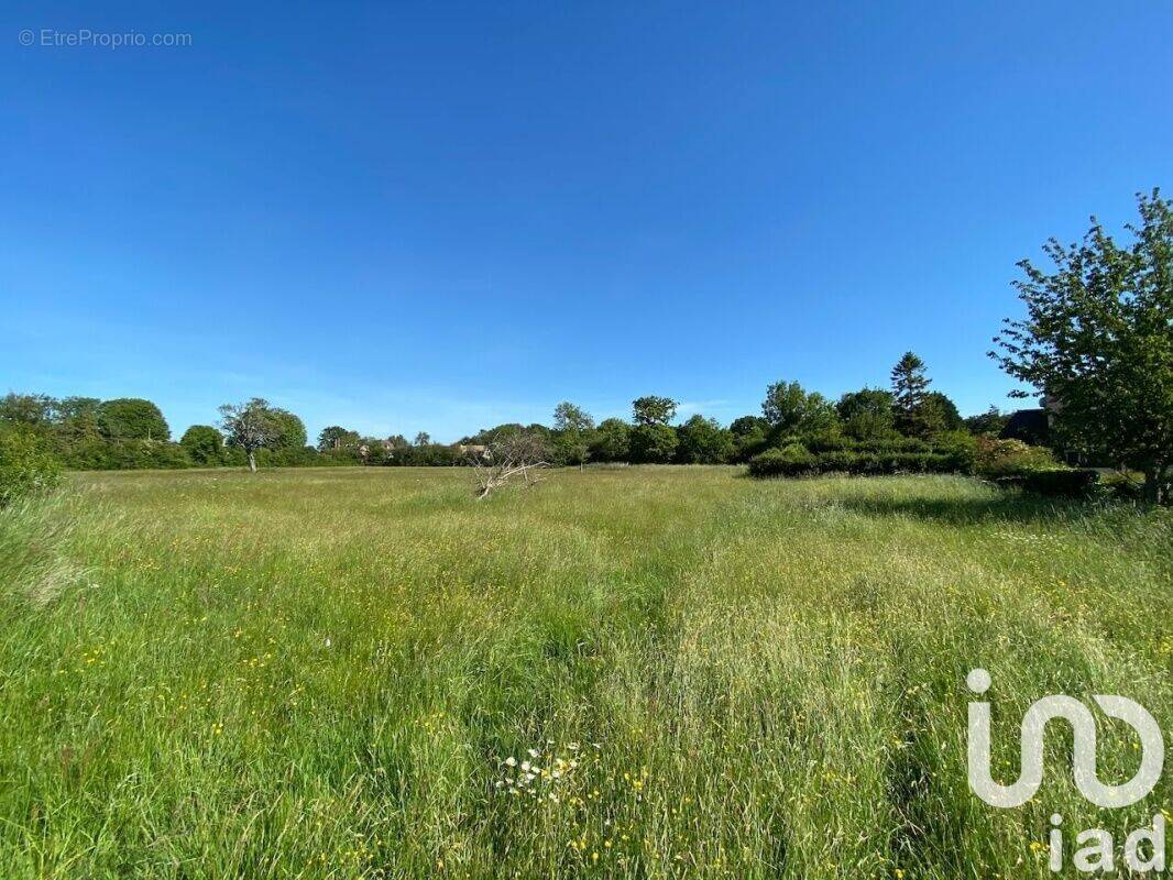 Photo 1 - Terrain à AUBERVILLE