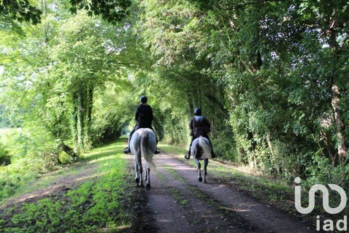 Photo 5 - Terrain à SAINT-ANDRE-D&#039;HEBERTOT