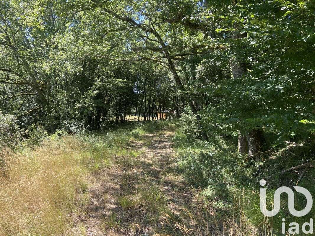 Photo 2 - Terrain à CASTELNAUD-LA-CHAPELLE