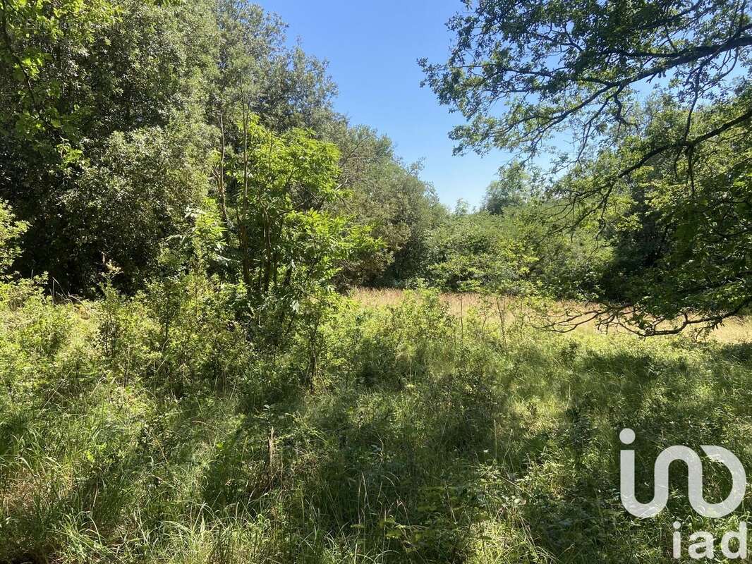 Photo 3 - Terrain à CASTELNAUD-LA-CHAPELLE