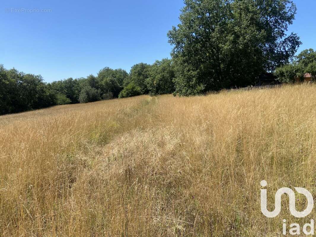 Photo 4 - Terrain à CASTELNAUD-LA-CHAPELLE