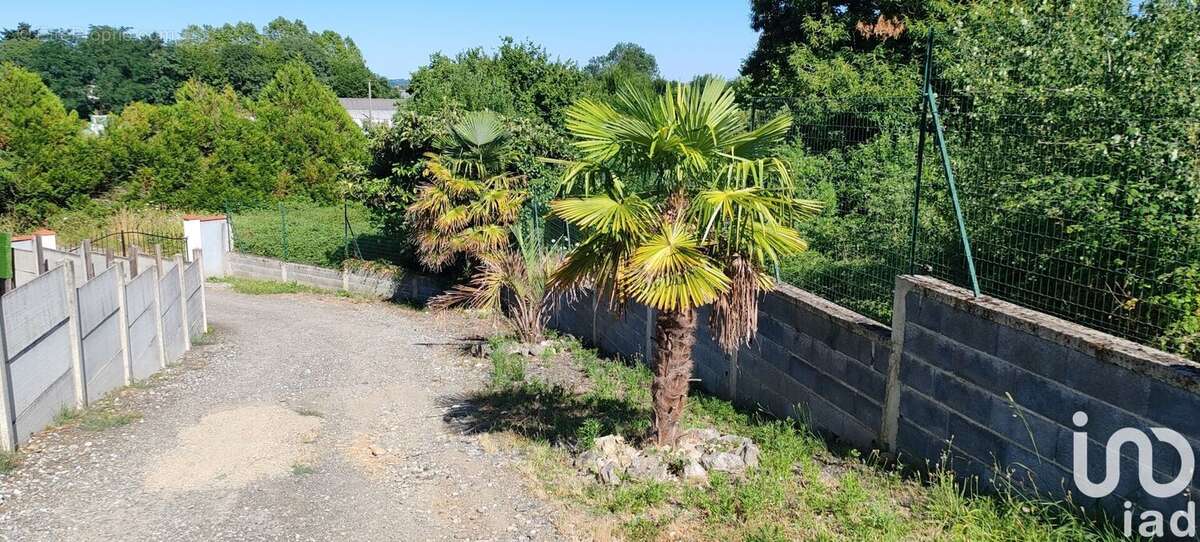 Photo 5 - Maison à BORDERES-SUR-L&#039;ECHEZ