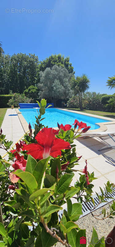 Maison à SAINT-PAUL-LES-DAX