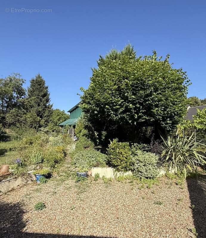 Maison à VILLEDIEU-LE-CHATEAU