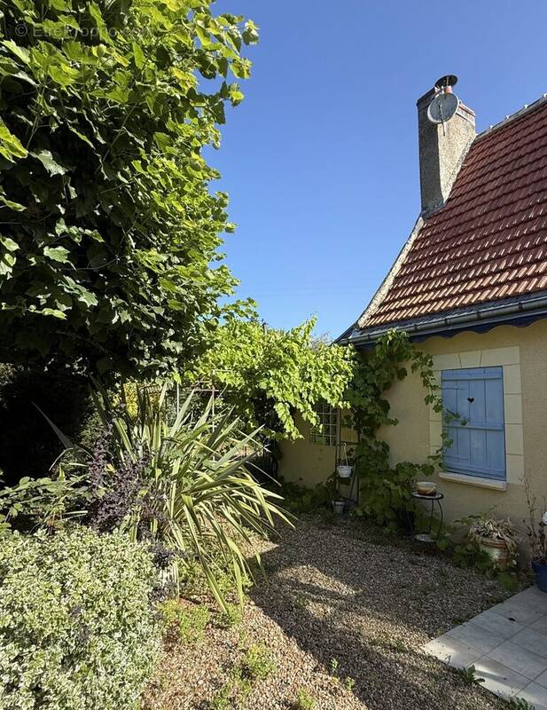 Maison à VILLEDIEU-LE-CHATEAU