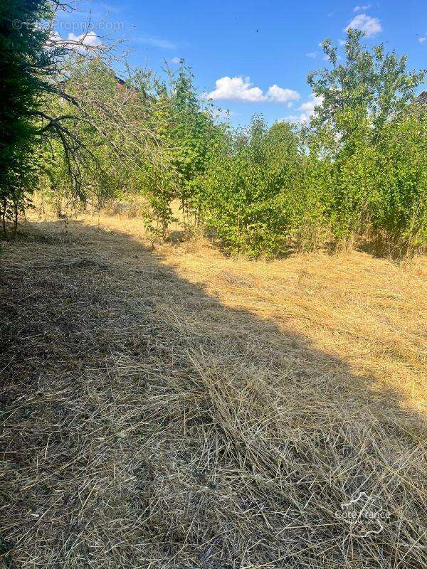 Maison à LA FERTE-CHEVRESIS