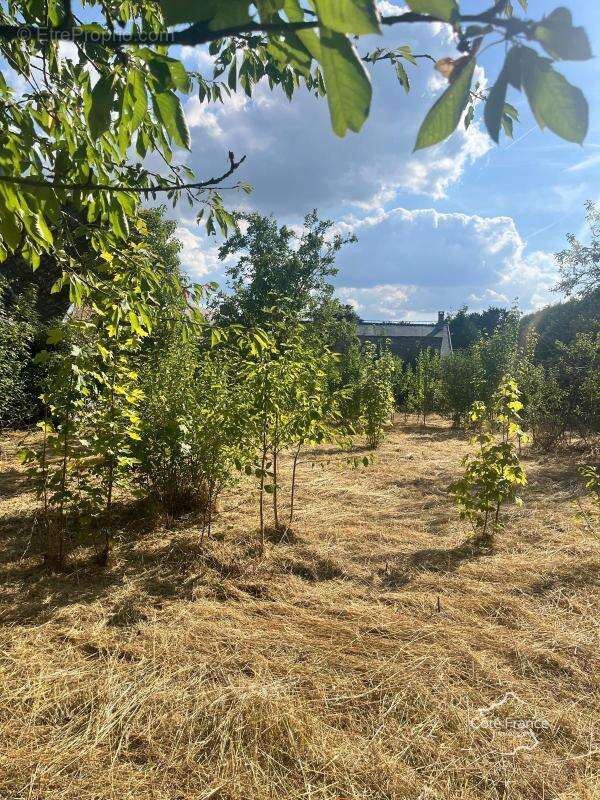 Maison à LA FERTE-CHEVRESIS