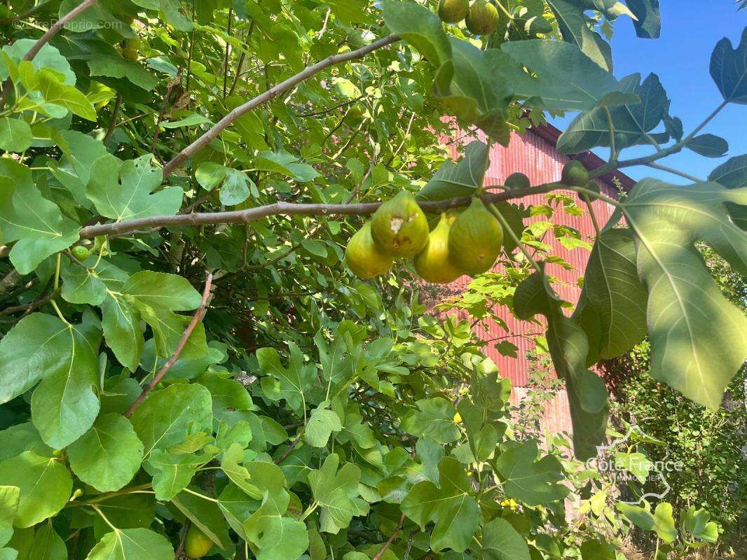 Maison à LA FERTE-CHEVRESIS