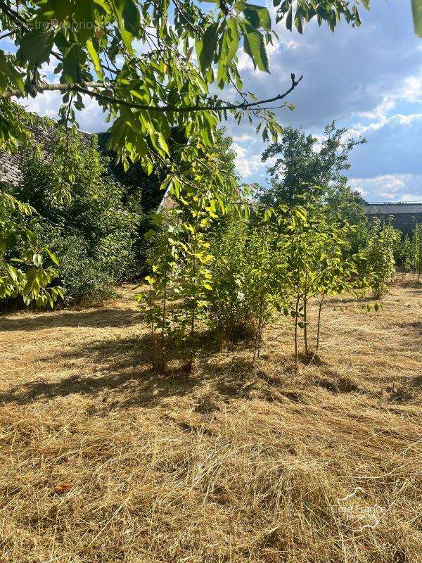 Maison à LA FERTE-CHEVRESIS