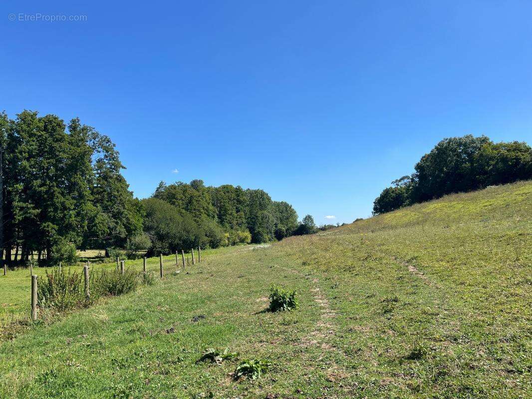 Maison à MEZIDON-CANON