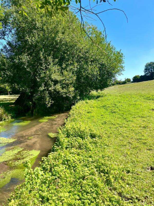 Maison à MEZIDON-CANON