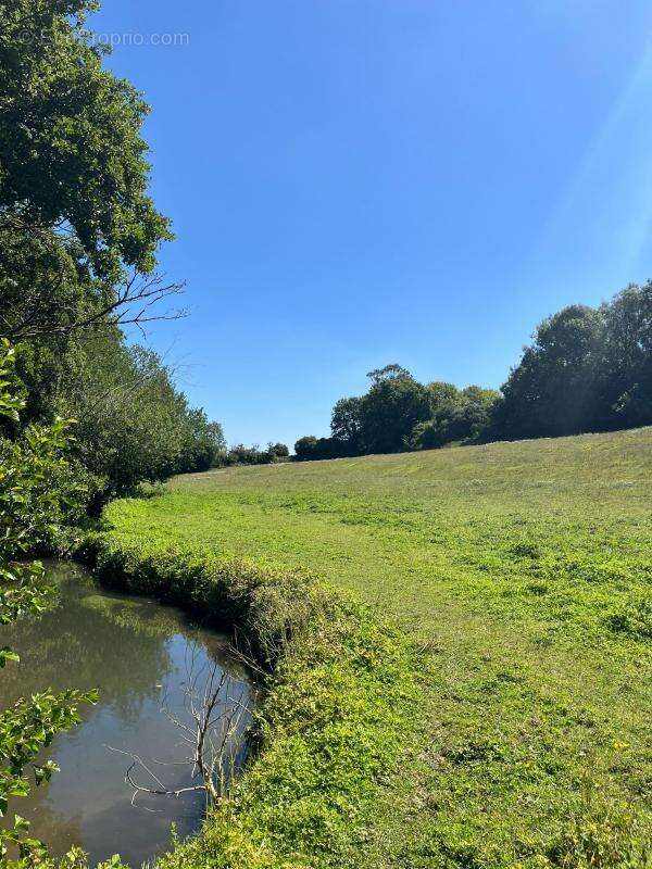 Maison à MEZIDON-CANON