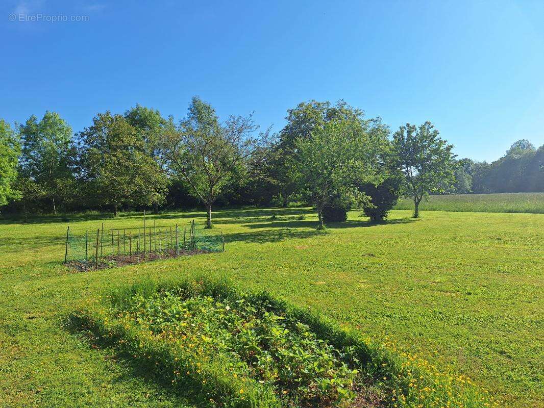 Maison à SAINT-BOUIZE
