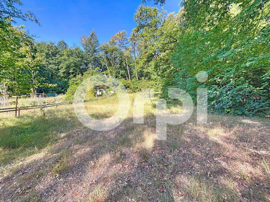 Terrain à BRIVE-LA-GAILLARDE