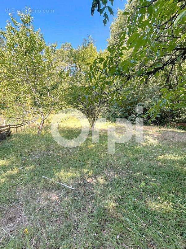 Terrain à BRIVE-LA-GAILLARDE