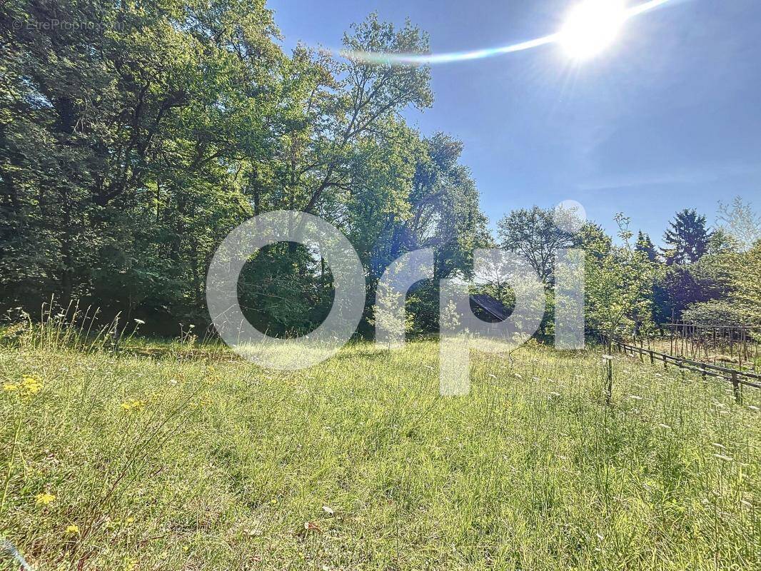 Terrain à BRIVE-LA-GAILLARDE