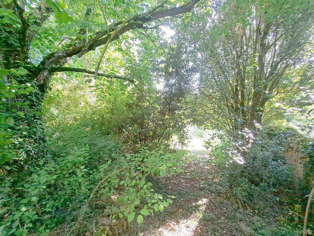 Maison à L'ISLE-JOURDAIN