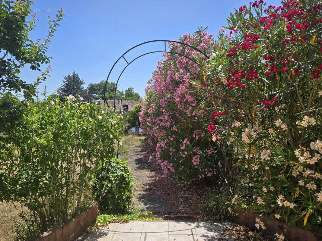 Maison à VILLAMBLARD