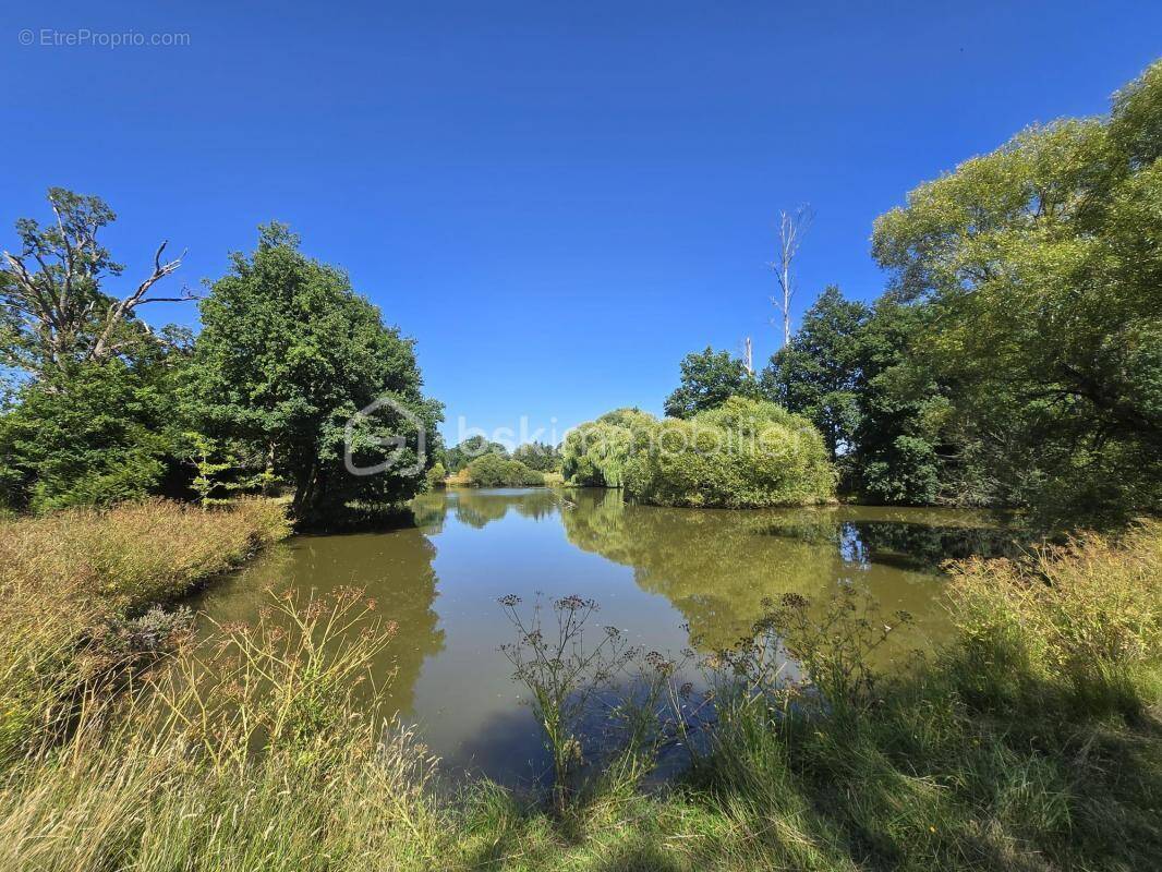 Terrain à MARTIGNE-SUR-MAYENNE