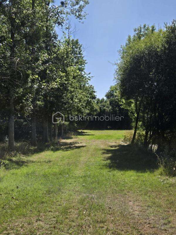 Terrain à MARTIGNE-SUR-MAYENNE