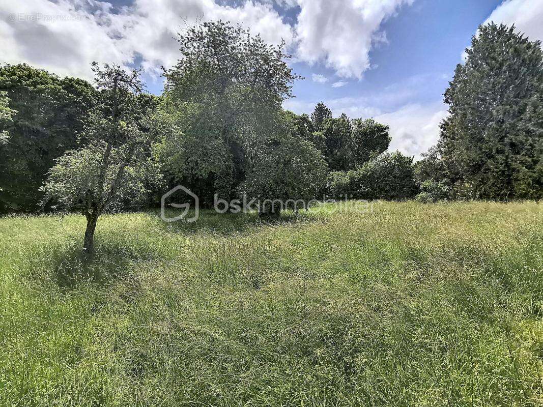 Terrain à LONGCHAMP