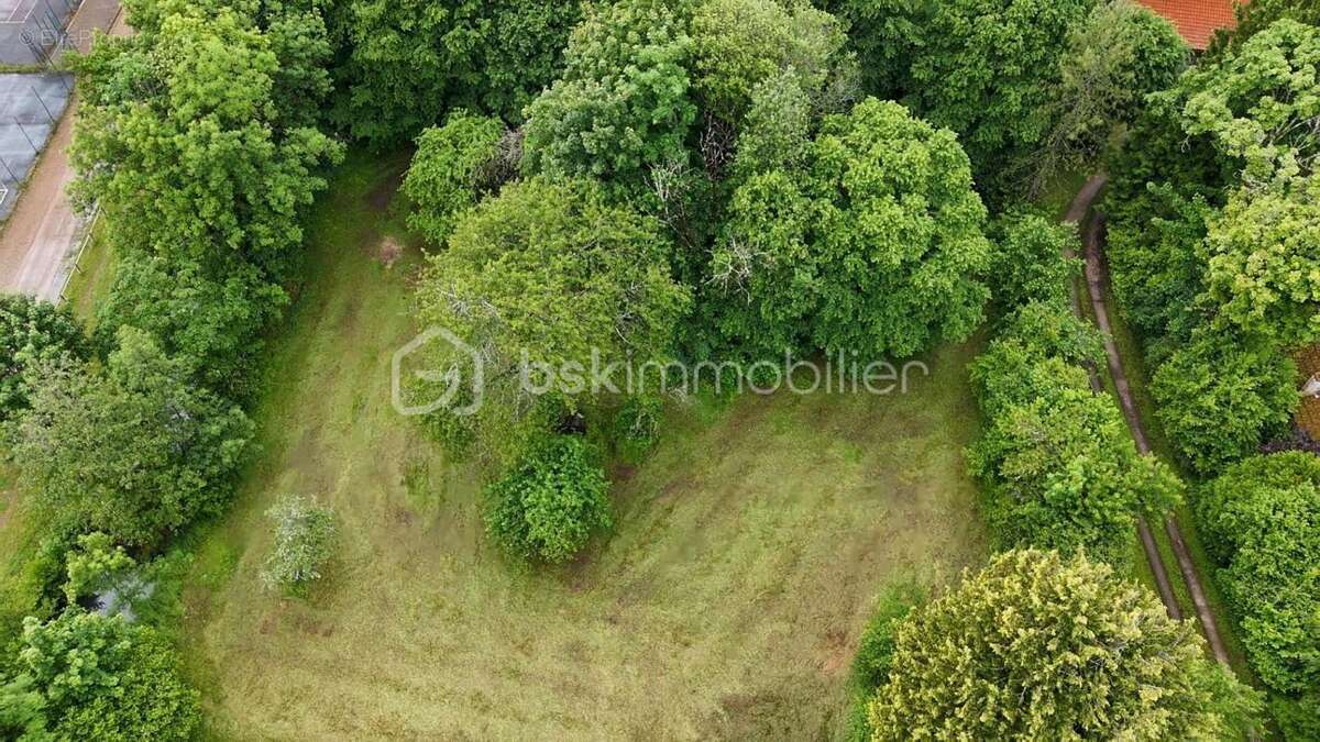 Terrain à LONGCHAMP