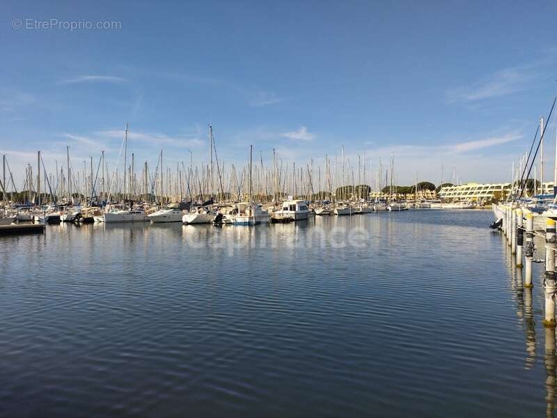 Commerce à LE GRAU-DU-ROI