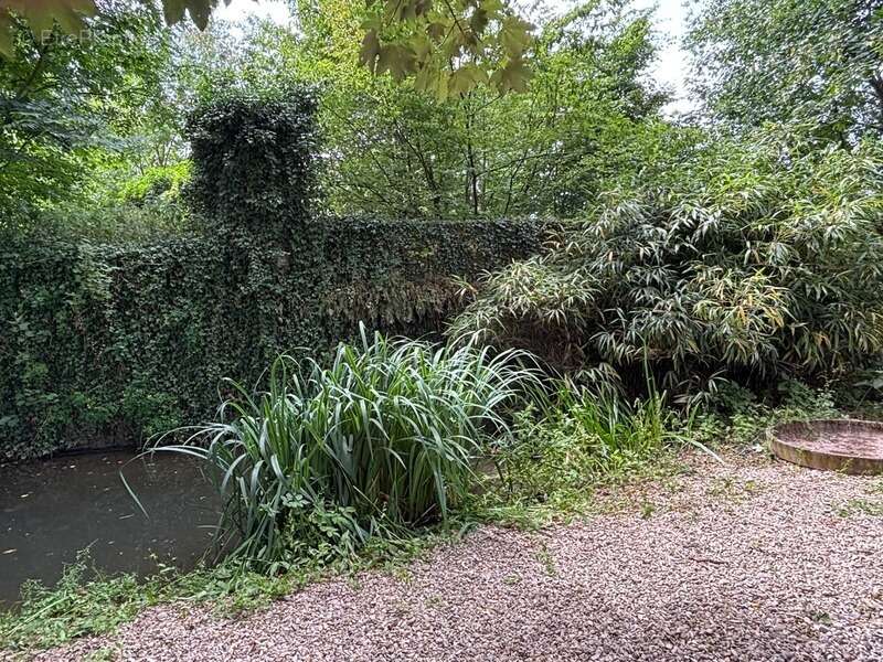 Maison à SOLRE-LE-CHATEAU