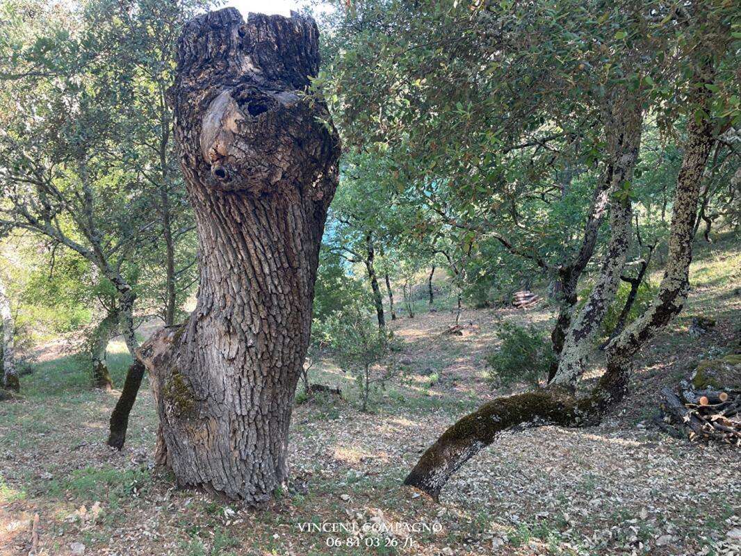 Maison à ESPARRON-DE-VERDON