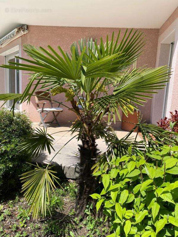 Maison à PREVESSIN-MOENS