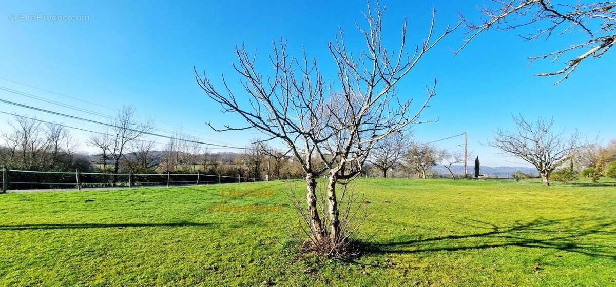 Maison à TERRASSON-LAVILLEDIEU