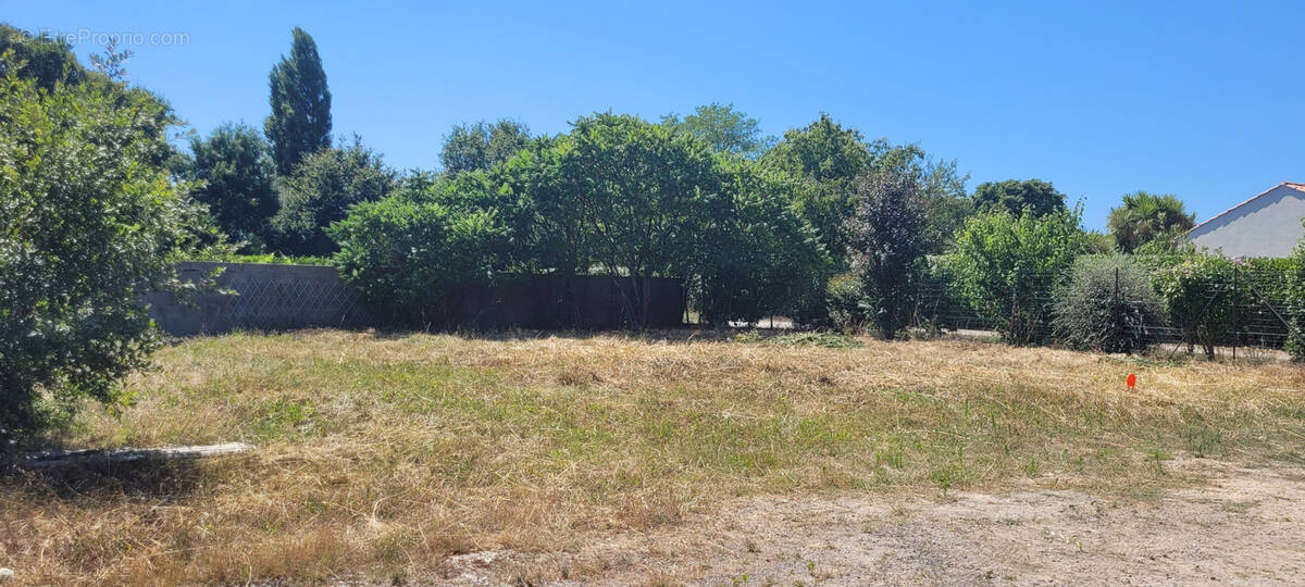 Terrain à ARTHON-EN-RETZ