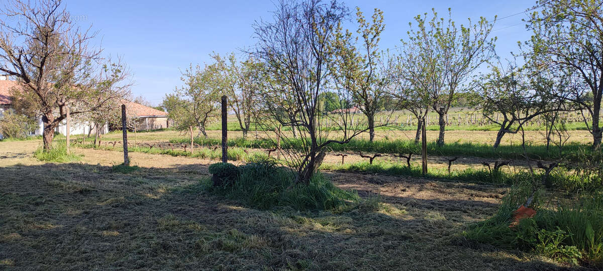 Maison à CHENAC-SAINT-SEURIN-D&#039;UZET