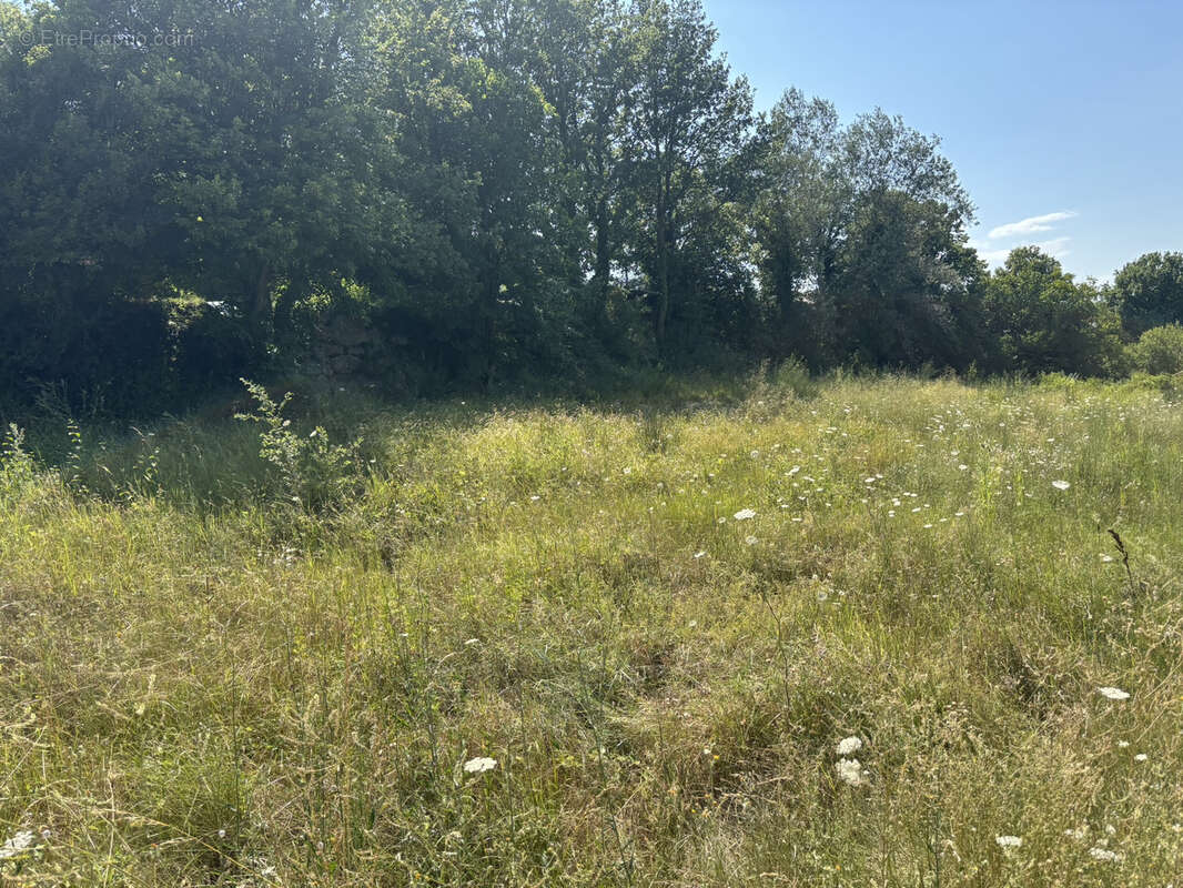 Terrain à ENTRECHAUX