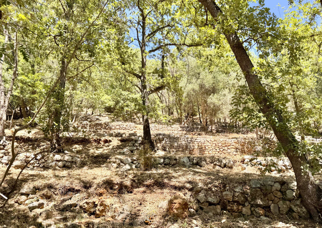 Maison à SPERACEDES