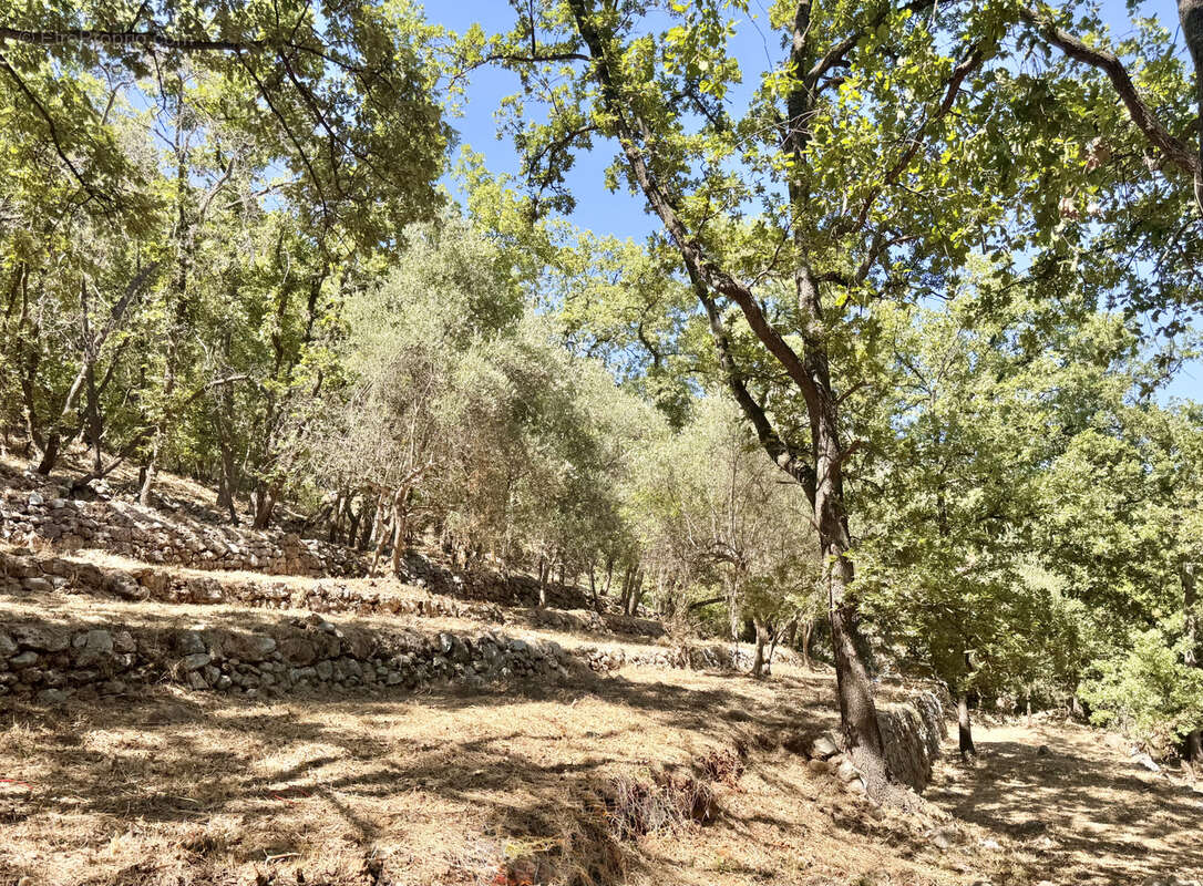 Maison à SPERACEDES